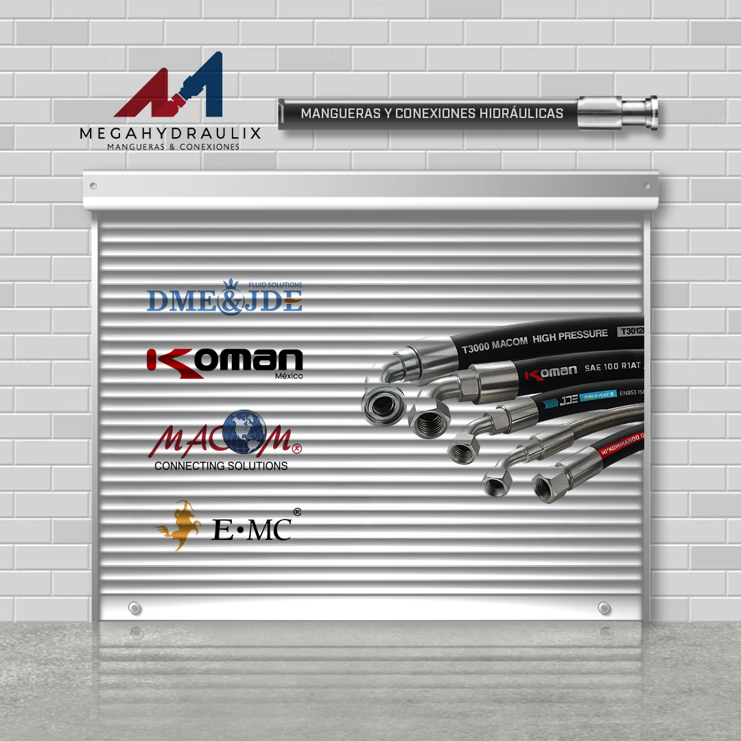 CORRECIÓN MODELO FREEDOM WEB MEGA