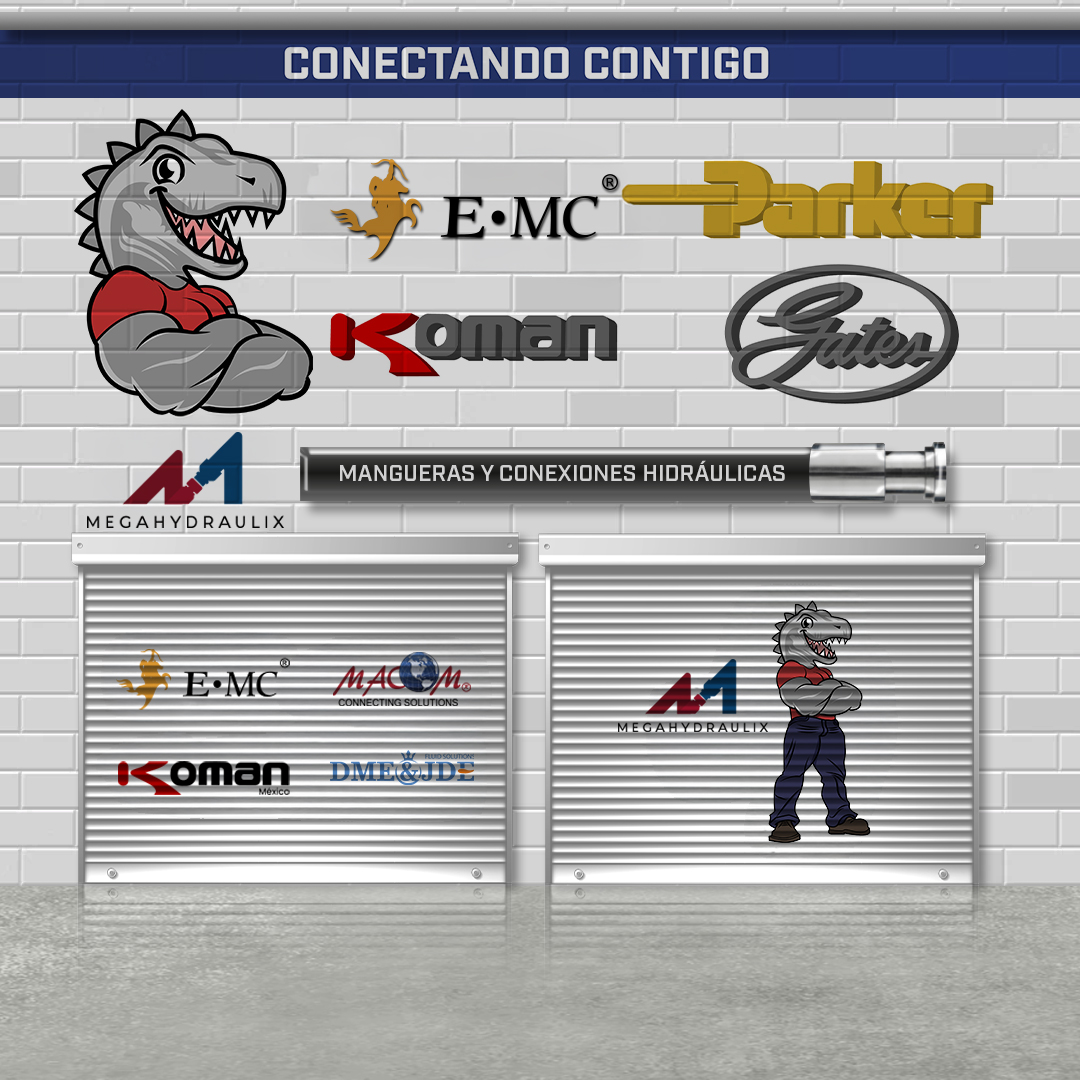 CORRECION MODELO STARTER WEB MEGA